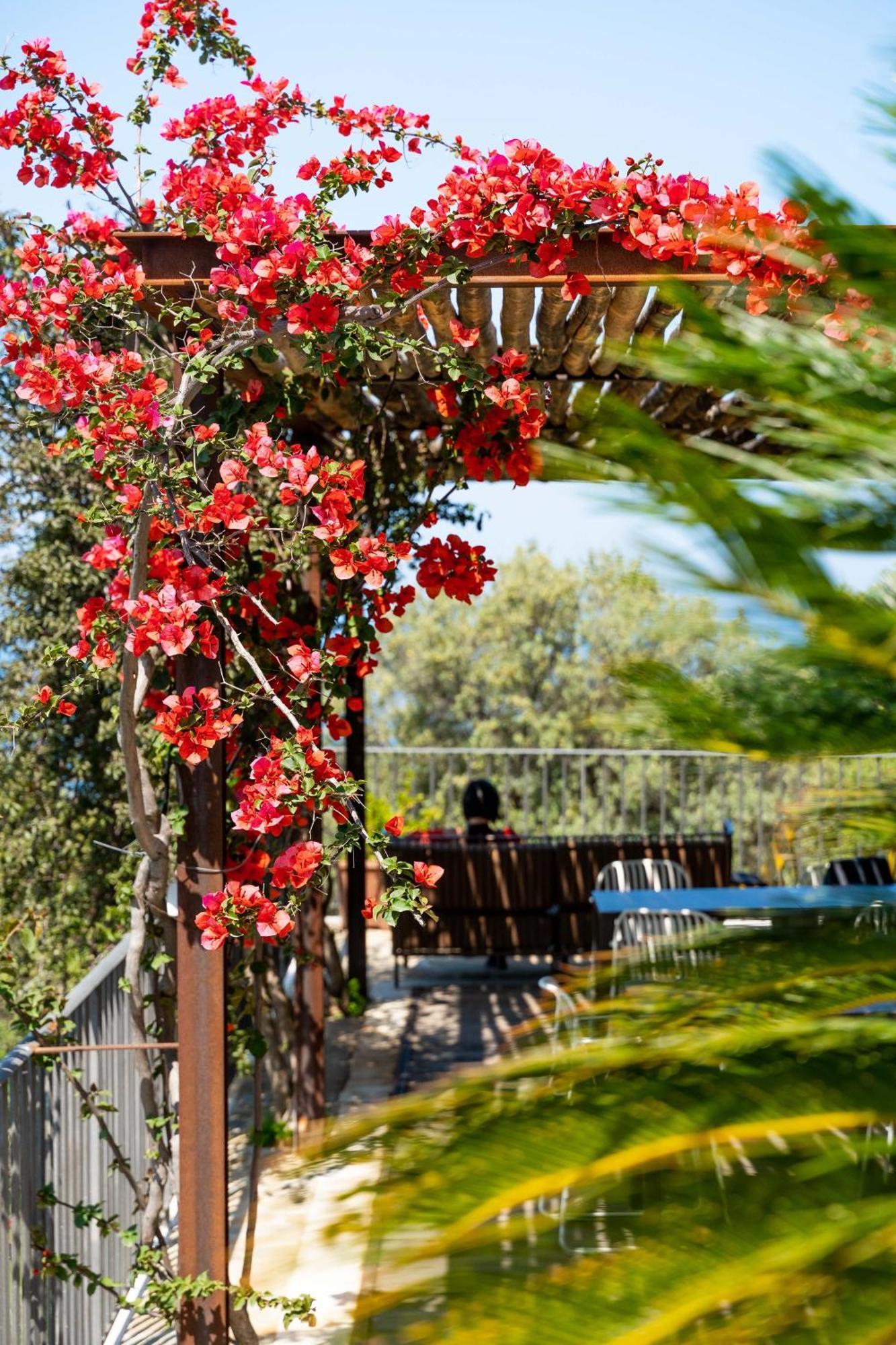B&B Baia Di Trentova Агрополи Экстерьер фото